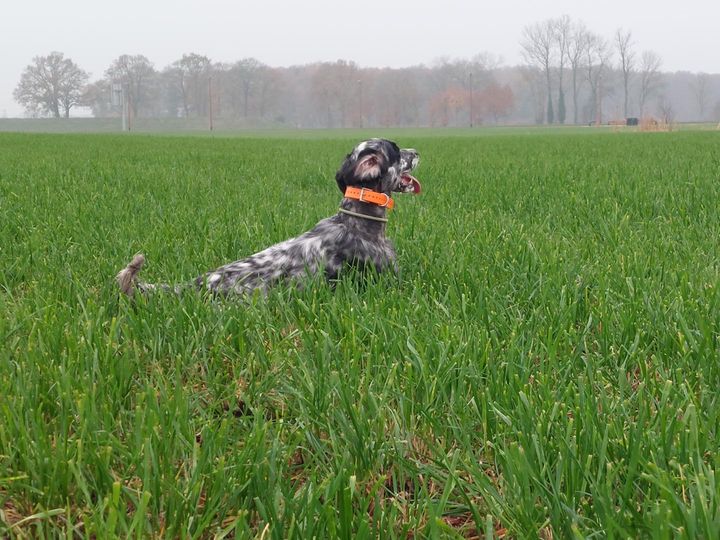 370238466 686158963546856 4048153379519225224 n